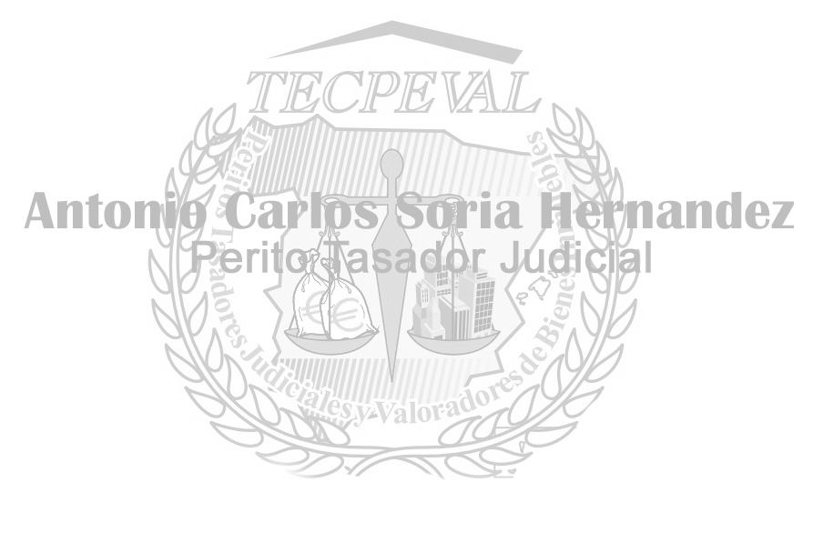 Tasador Judicial